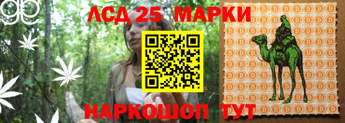 Марки N-bome 1500мкг  наркотики  Марки N-bome 1500мкг  Железногорск  Вход с VPN  Наркотические марки 